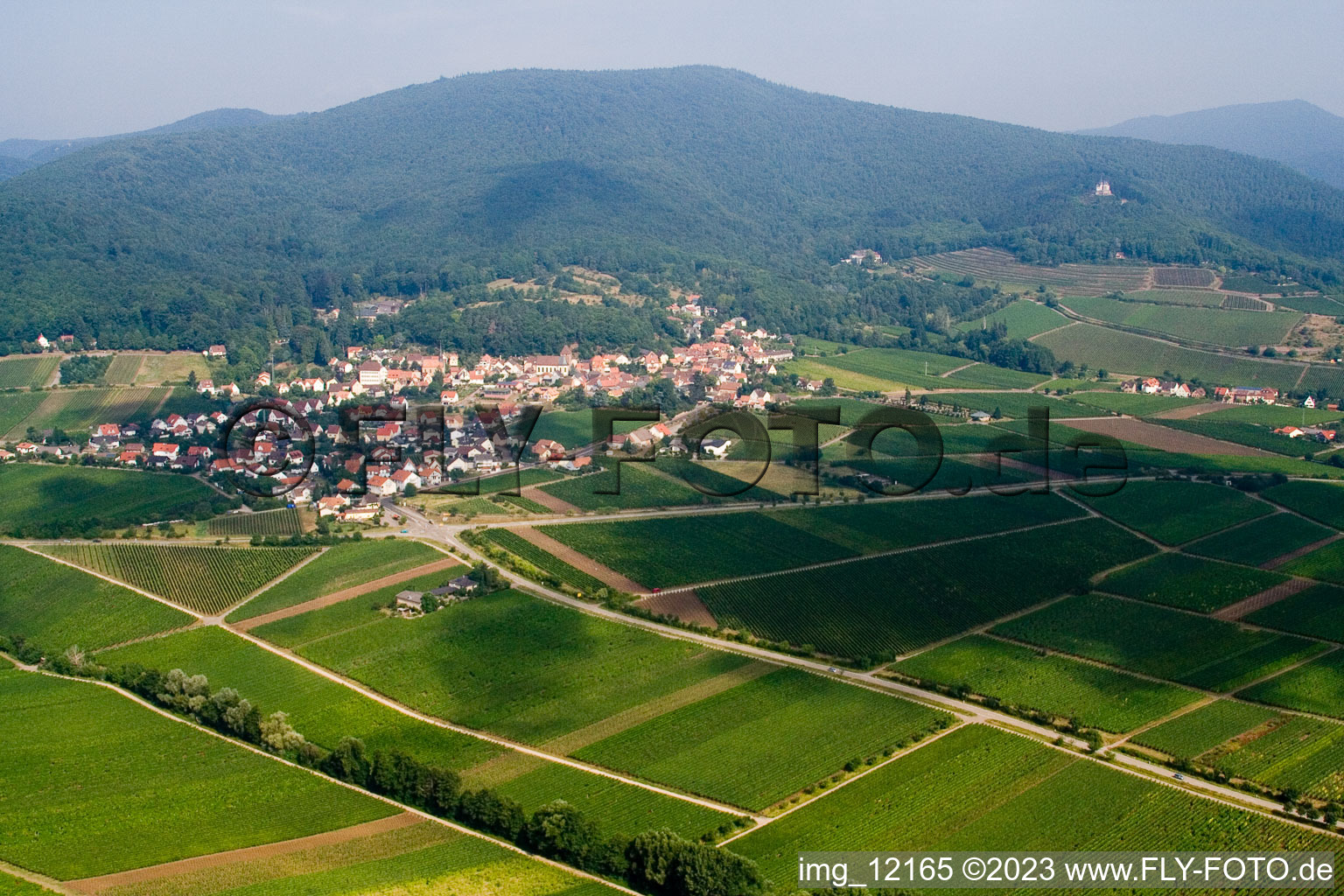 Gleisweiler im Bundesland Rheinland-Pfalz, Deutschland aus der Drohnenperspektive