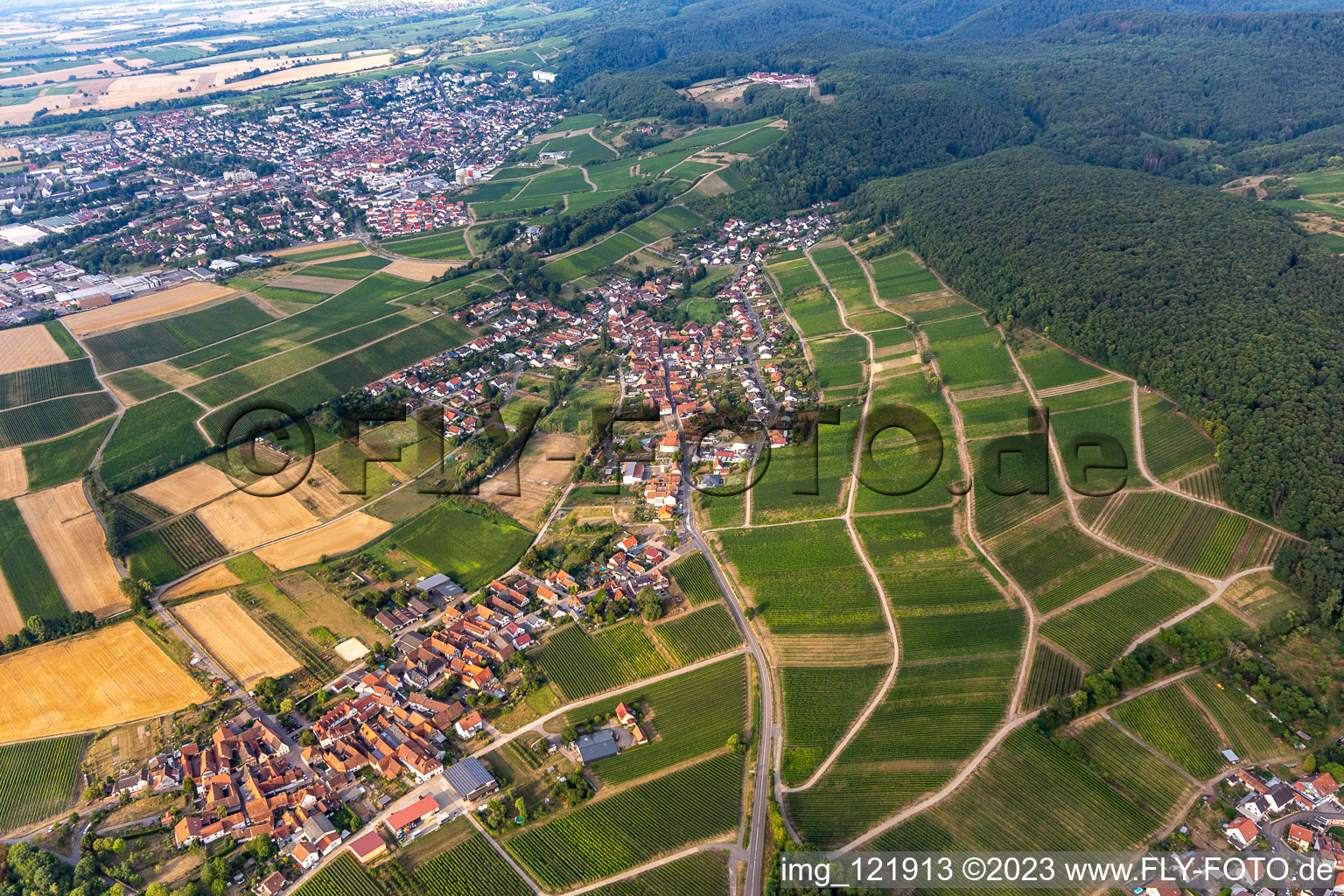 Ortsteil Pleisweiler in Pleisweiler-Oberhofen im Bundesland Rheinland-Pfalz, Deutschland aus der Luft