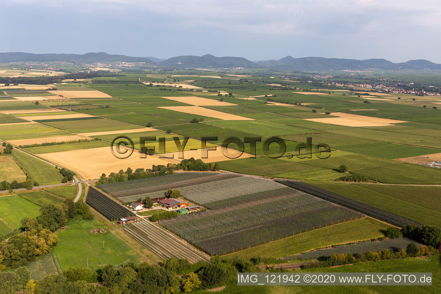 Luftbild von Lindenhof Gensheimer in Steinweiler im Bundesland Rheinland-Pfalz, Deutschland