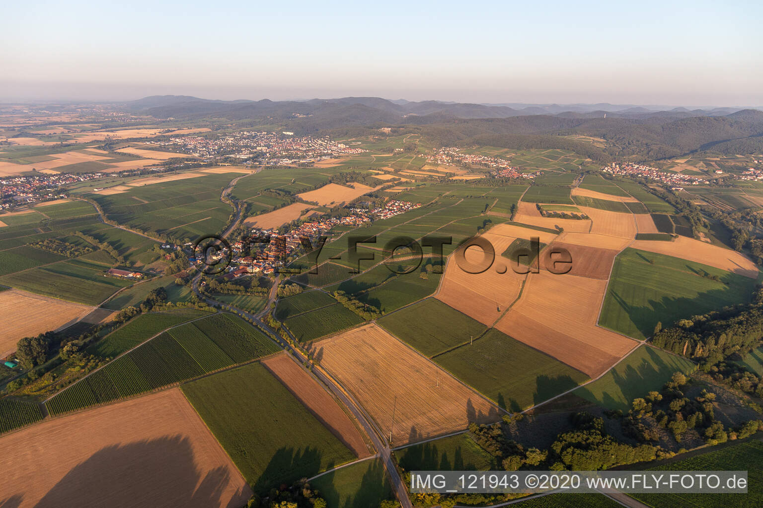Niederhorbach im Bundesland Rheinland-Pfalz, Deutschland von oben