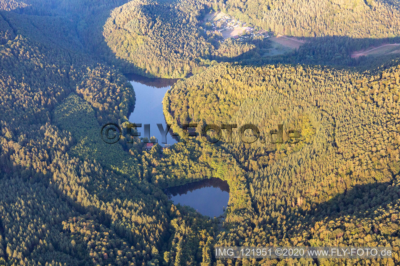 Waldgebiete am Ufer des See Seehofer-Weiher in Erlenbach bei Dahn im Bundesland Rheinland-Pfalz, Deutschland