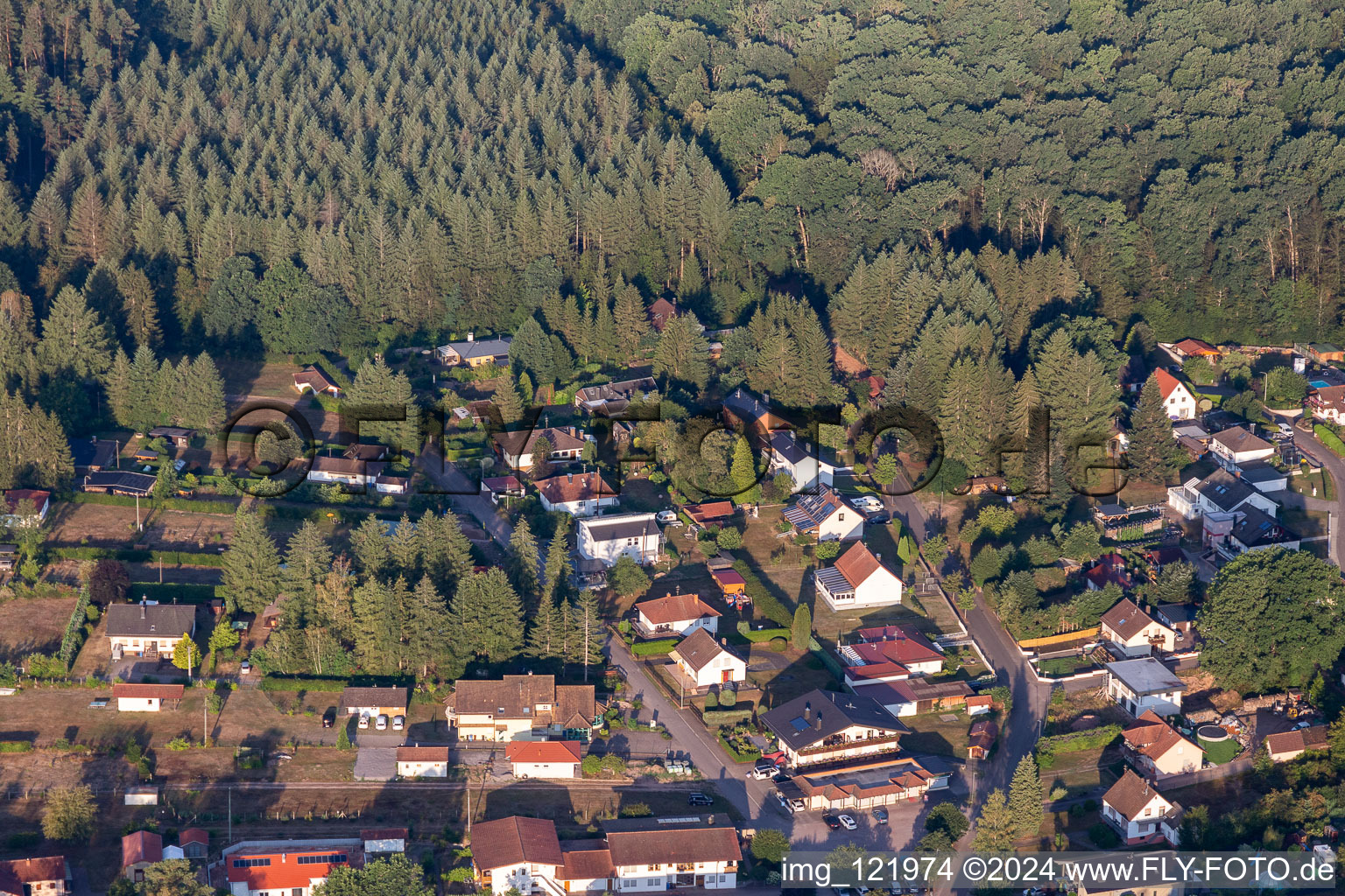 Ludwigswinkel im Bundesland Rheinland-Pfalz, Deutschland von oben gesehen