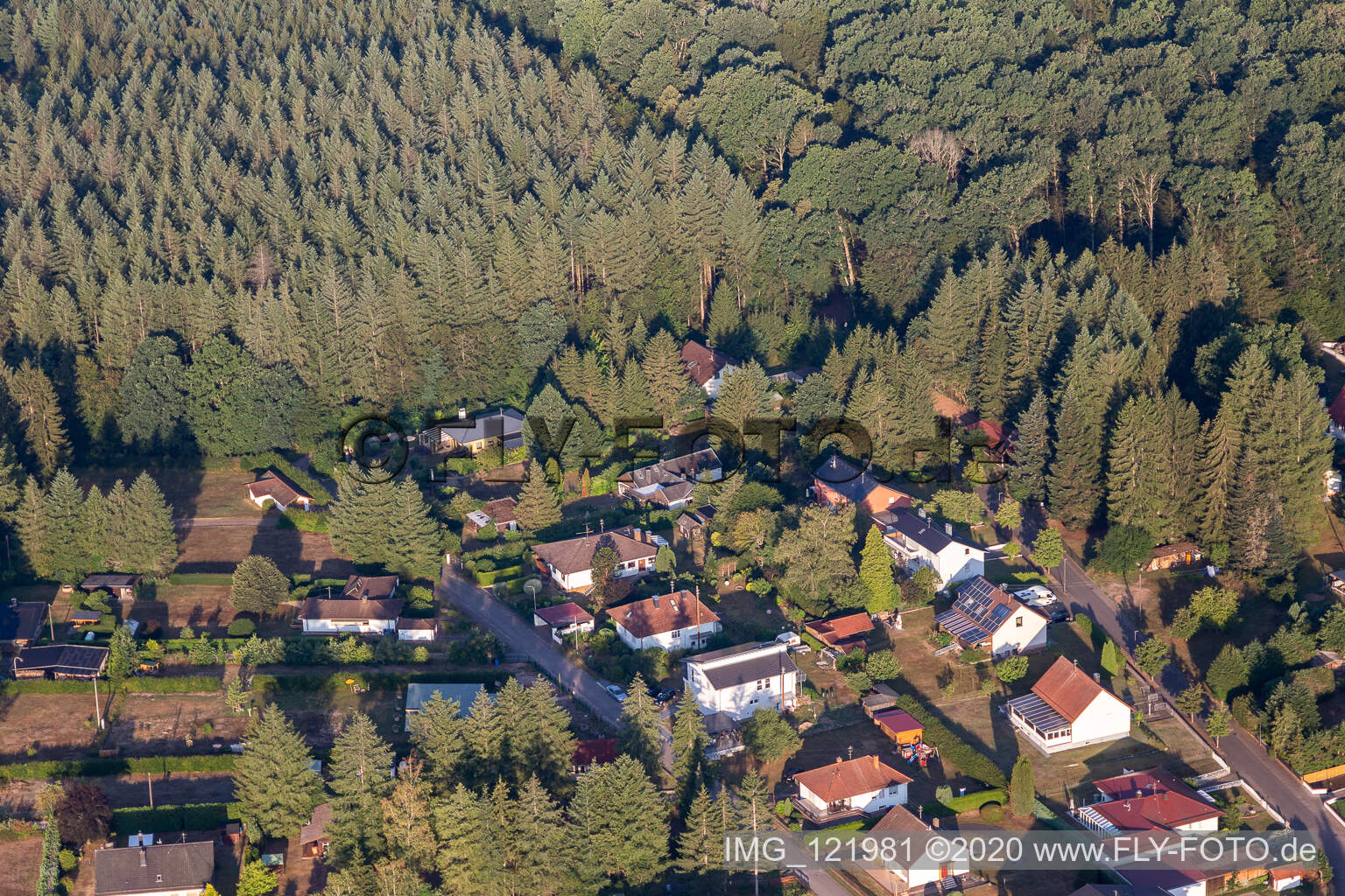 Ludwigswinkel im Bundesland Rheinland-Pfalz, Deutschland aus der Drohnenperspektive