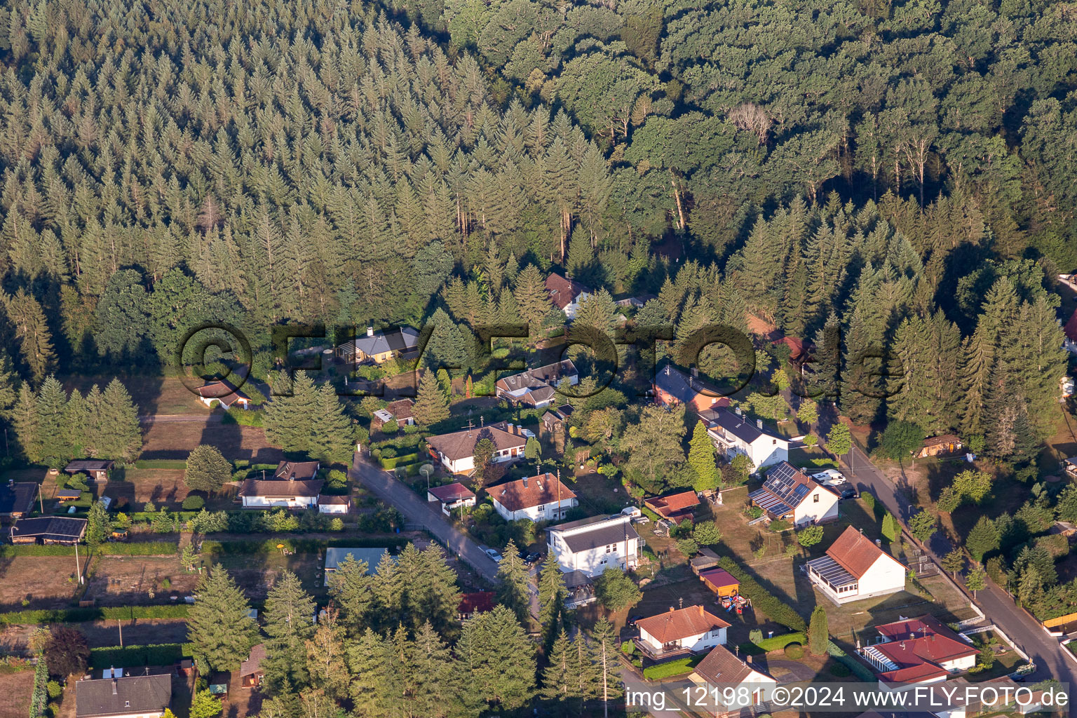 Ludwigswinkel im Bundesland Rheinland-Pfalz, Deutschland aus der Drohnenperspektive