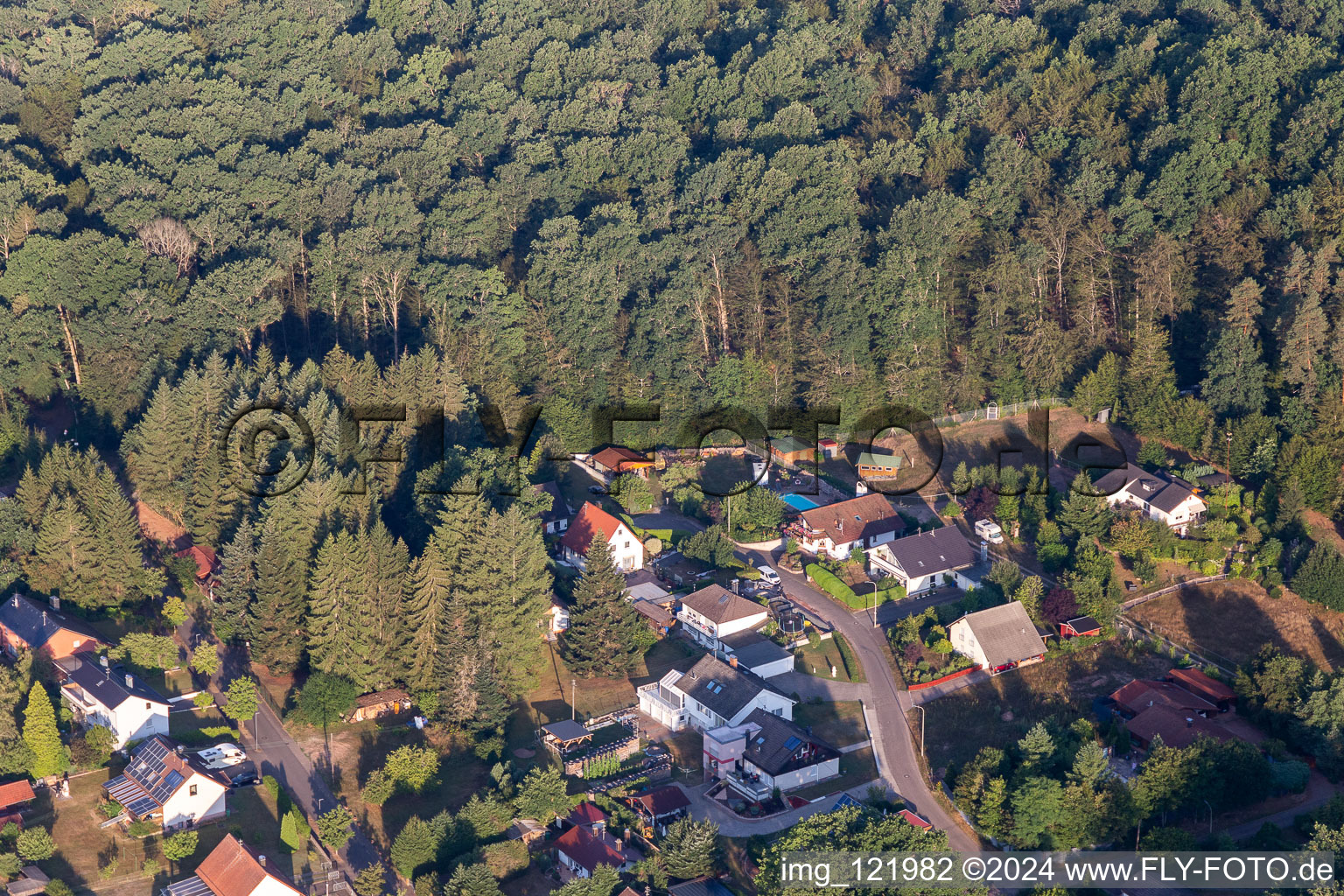 Ludwigswinkel im Bundesland Rheinland-Pfalz, Deutschland von einer Drohne aus