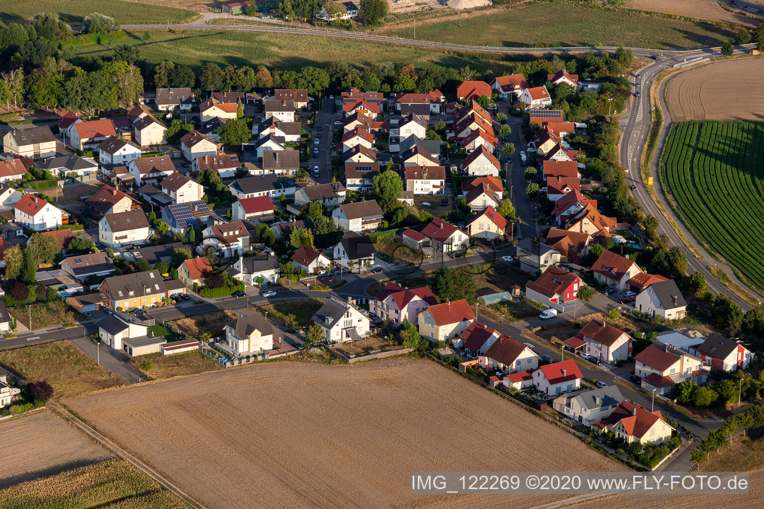 Hardtwald in Neupotz im Bundesland Rheinland-Pfalz, Deutschland aus der Luft betrachtet