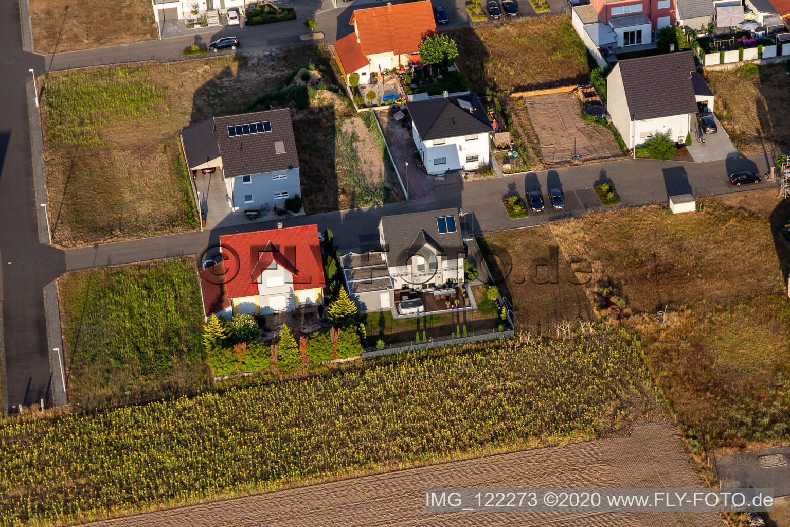 Hardtwald in Neupotz im Bundesland Rheinland-Pfalz, Deutschland von einer Drohne aus