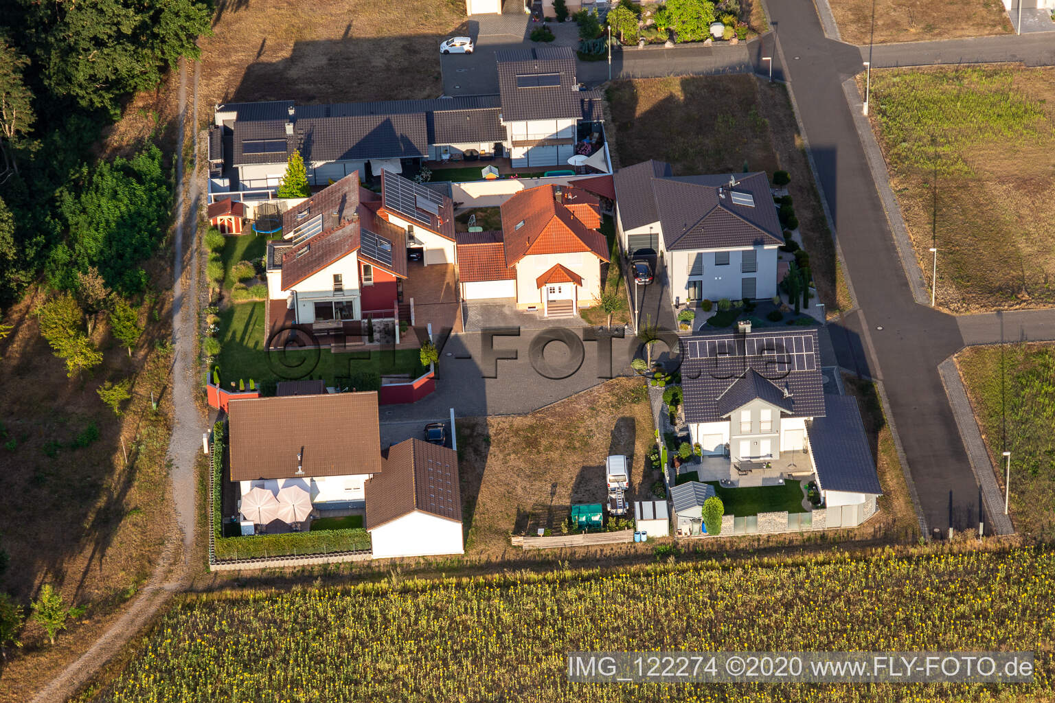 Hardtwald in Neupotz im Bundesland Rheinland-Pfalz, Deutschland von der Drohne aus gesehen