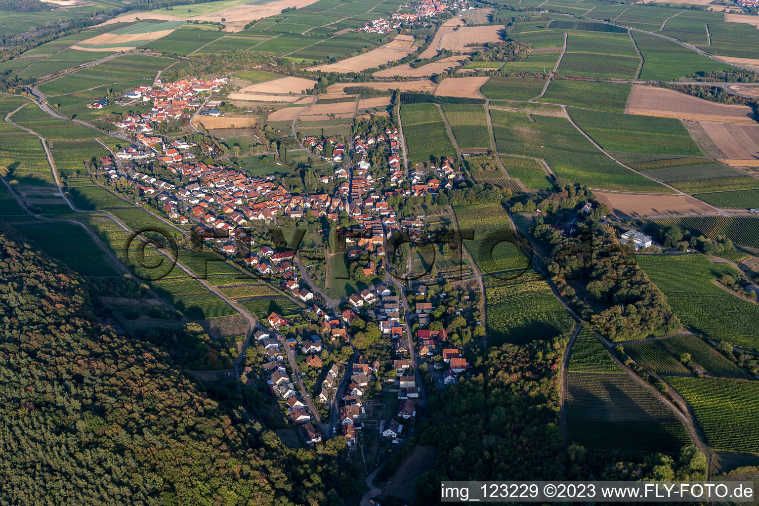 Ortsteil Pleisweiler in Pleisweiler-Oberhofen im Bundesland Rheinland-Pfalz, Deutschland von oben gesehen