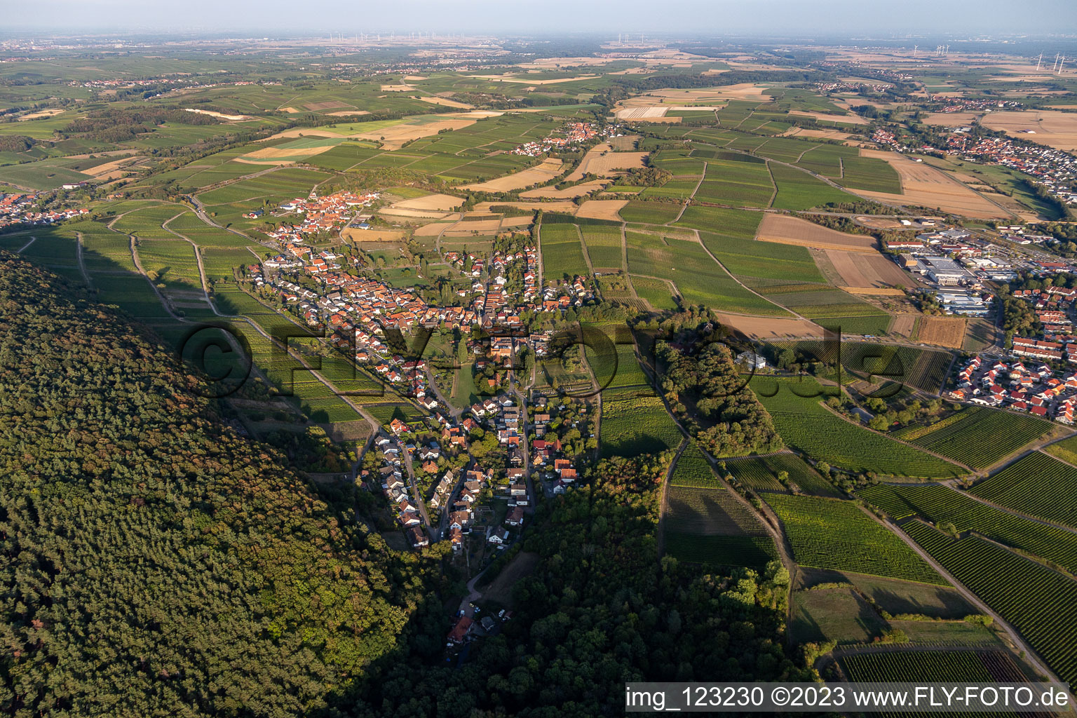 Ortsteil Pleisweiler in Pleisweiler-Oberhofen im Bundesland Rheinland-Pfalz, Deutschland vom Flugzeug aus