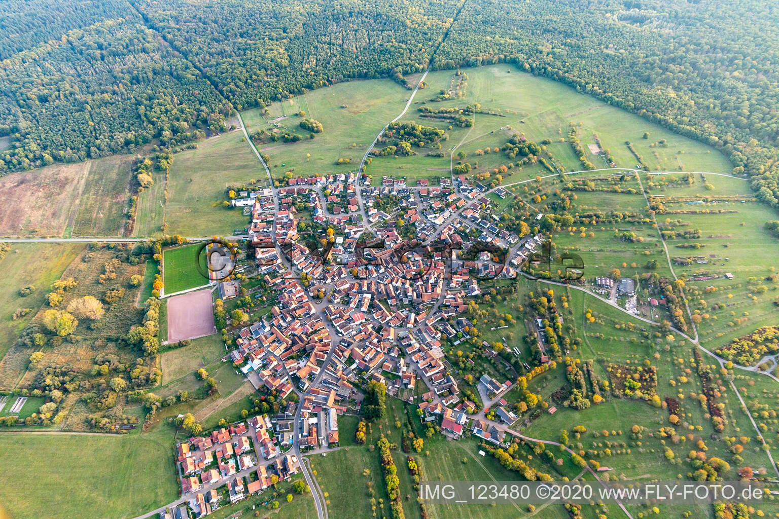 Luftbild von Ortsansicht der Straßen und Häuser der Wohngebiete in Büchelberg in Wörth am Rhein im Bundesland Rheinland-Pfalz, Deutschland