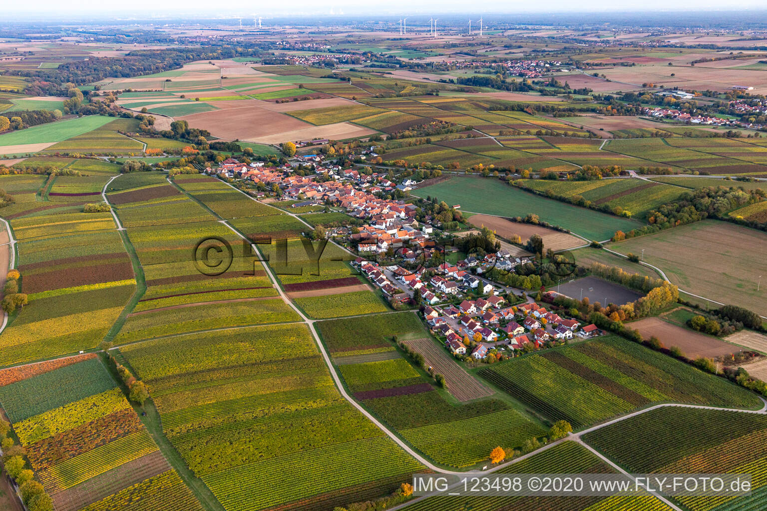 Luftaufnahme von Dorf - Ansicht am Rande von landwirtschaftlichen Feldern und Nutzflächen in Niederhorbach im Bundesland Rheinland-Pfalz, Deutschland