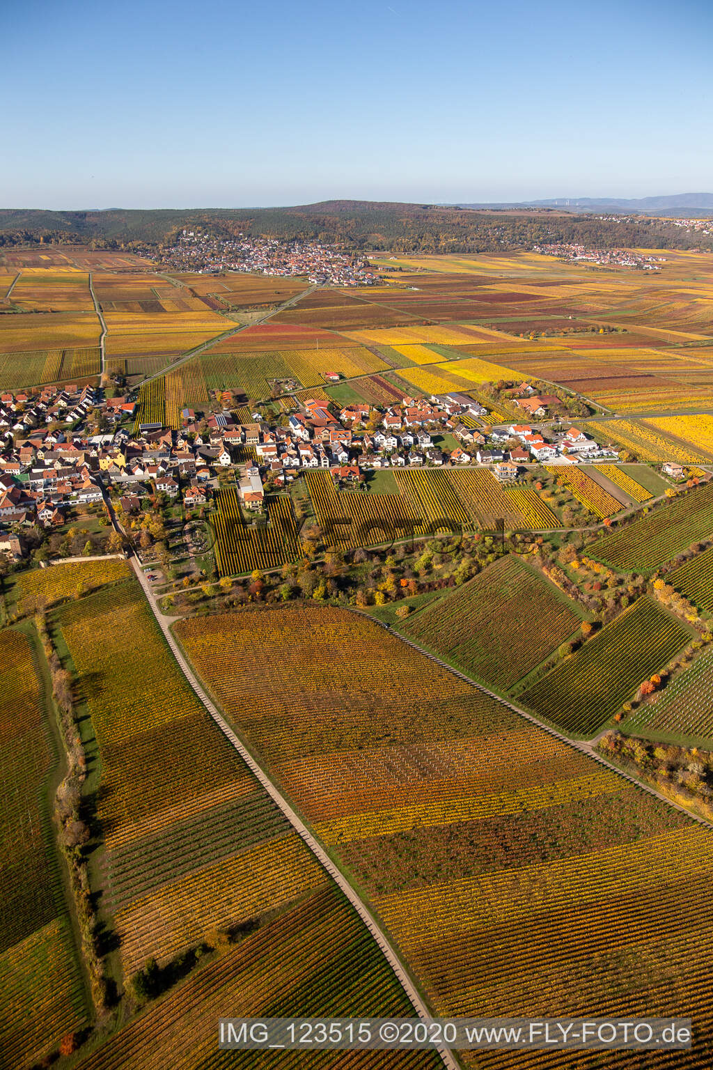 Dorf - Ansicht am Rande von Weinbergen am Haardtrand in Weisenheim am Berg im Bundesland Rheinland-Pfalz, Deutschland