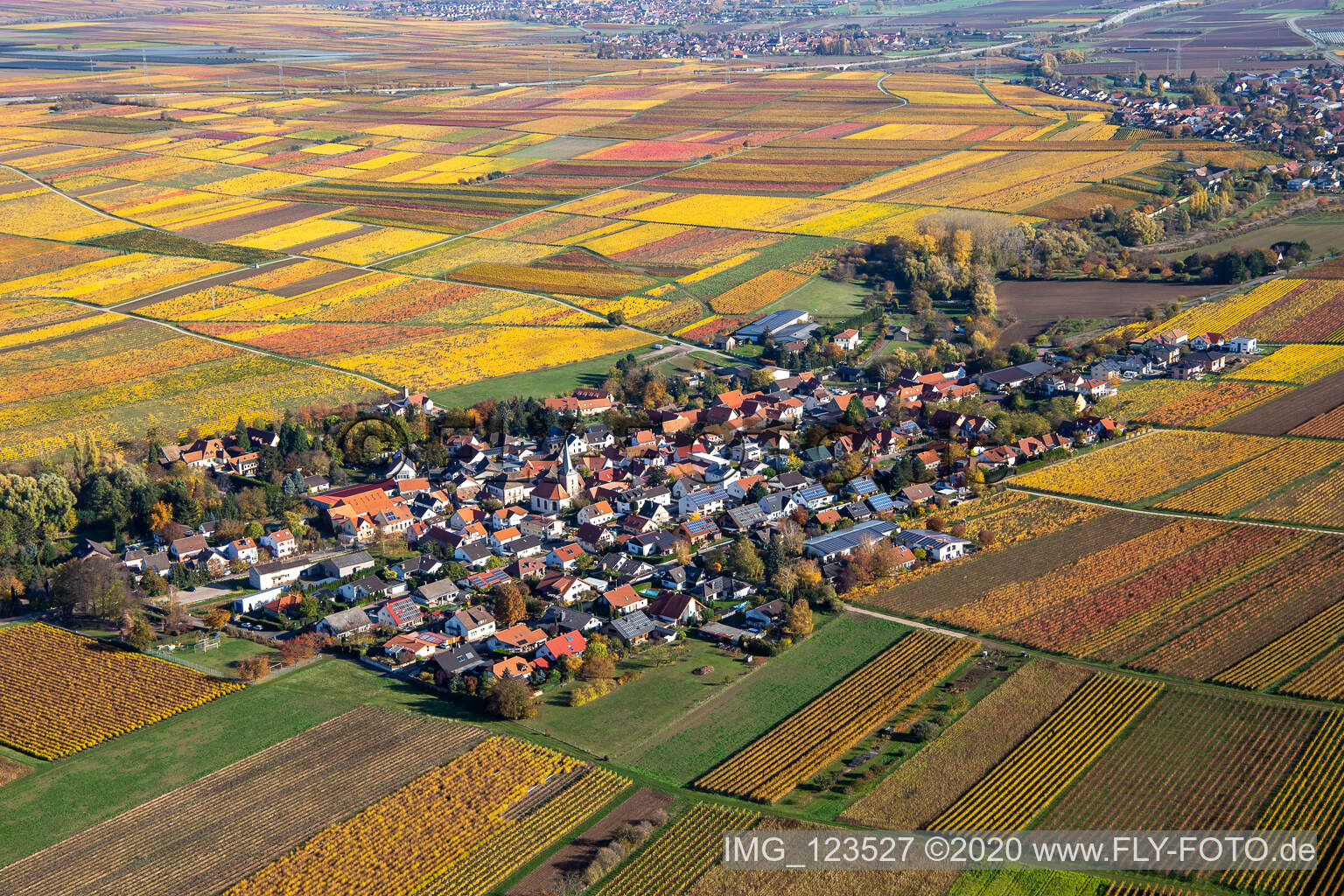 Herbstliche verfärbte Vegetationsansicht Bissersheim im Bundesland Rheinland-Pfalz, Deutschland