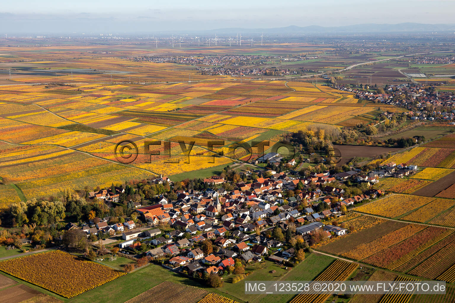 Luftbild von Herbstliche verfärbte Vegetationsansicht Bissersheim im Bundesland Rheinland-Pfalz, Deutschland