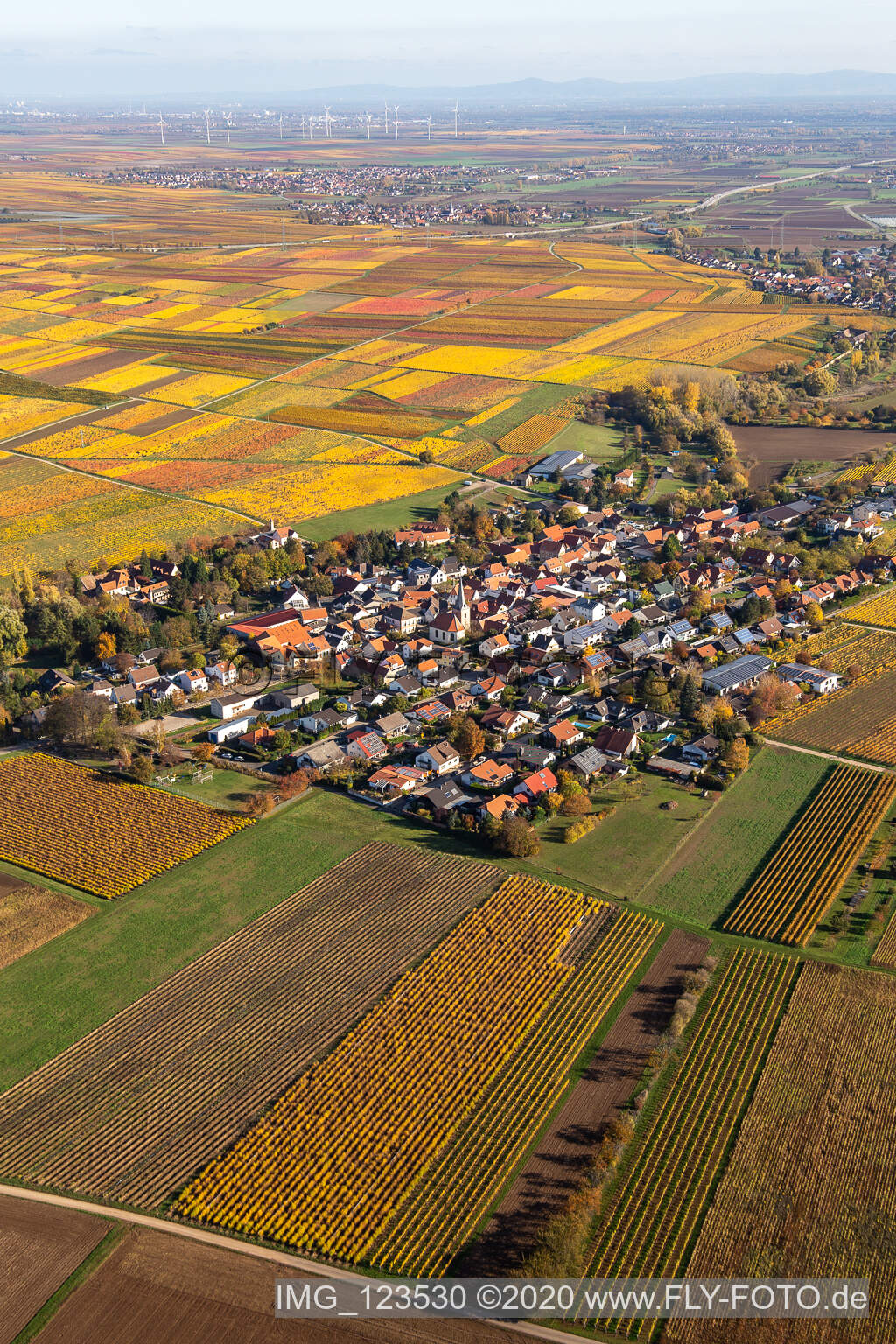 Luftaufnahme von Herbstliche verfärbte Vegetationsansicht Bissersheim im Bundesland Rheinland-Pfalz, Deutschland