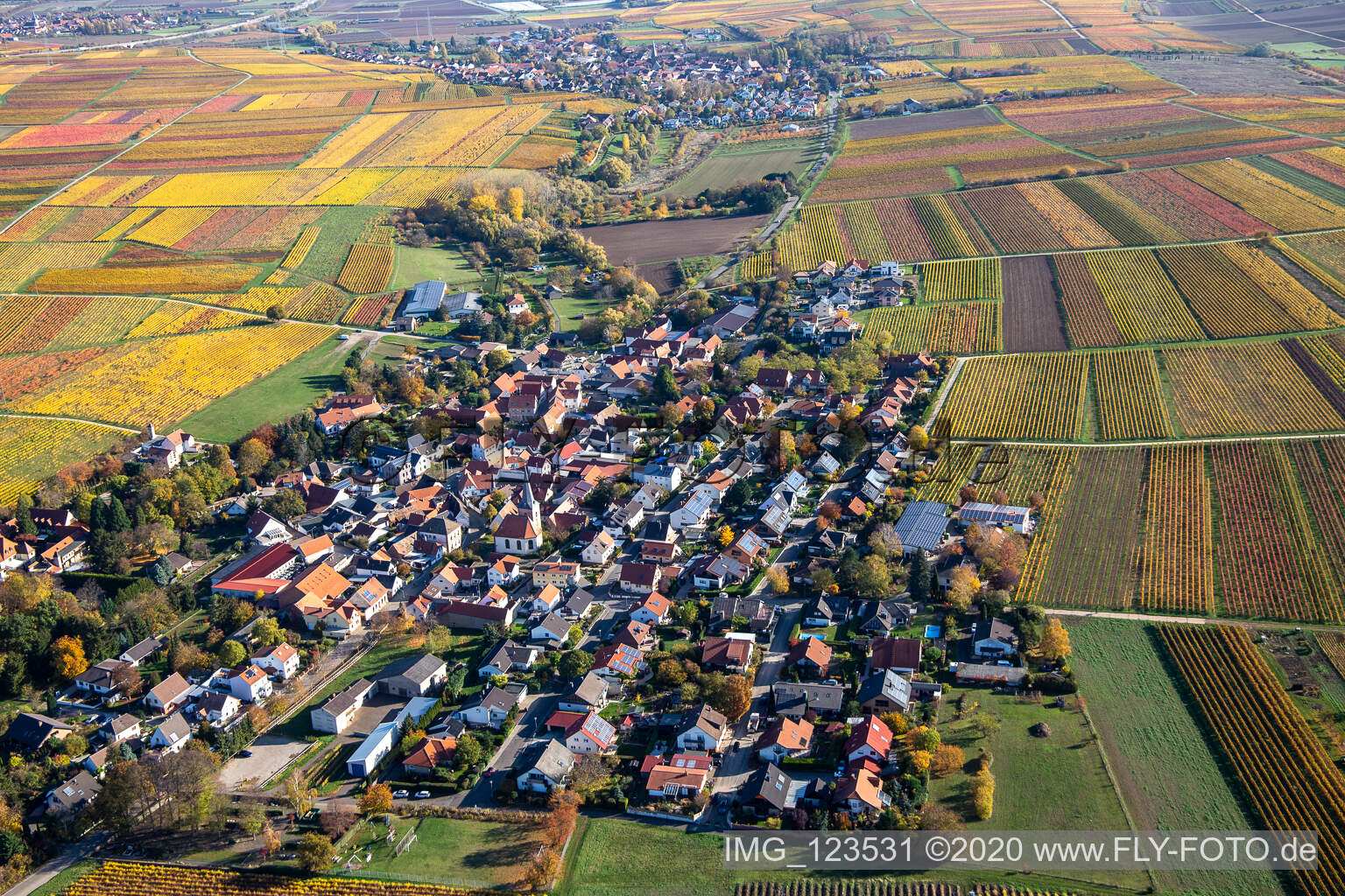 Schrägluftbild von Herbstliche verfärbte Vegetationsansicht Bissersheim im Bundesland Rheinland-Pfalz, Deutschland