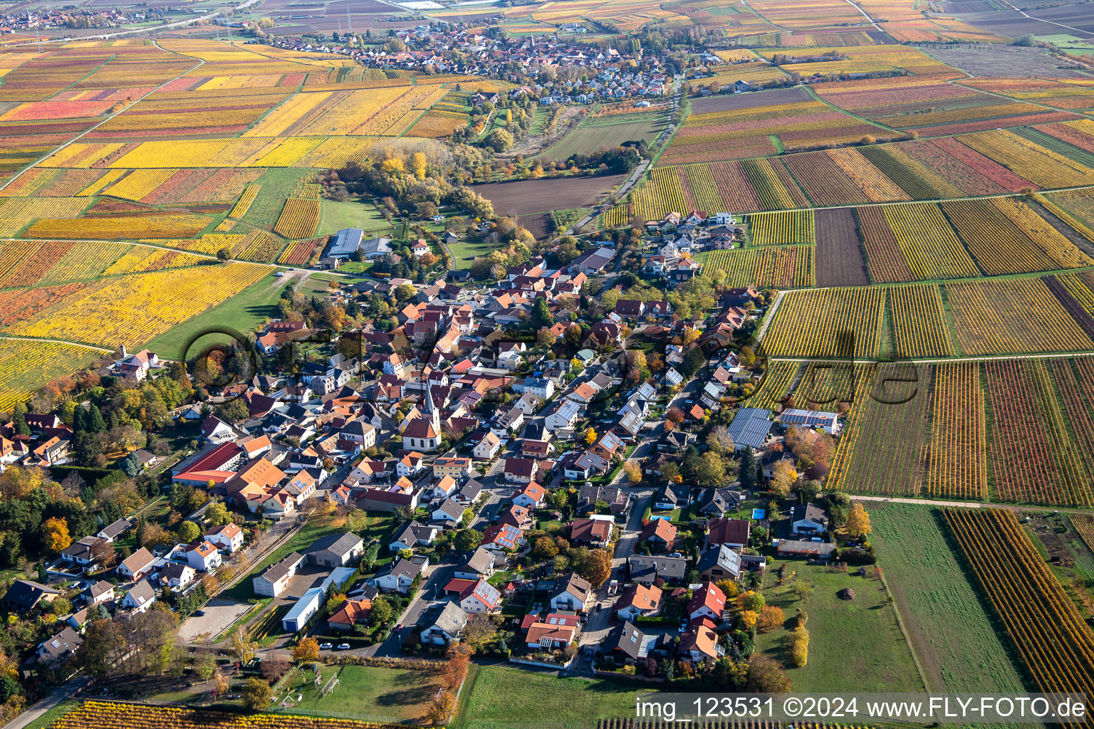 Schrägluftbild von Herbstliche verfärbte Vegetationsansicht Bissersheim im Bundesland Rheinland-Pfalz, Deutschland