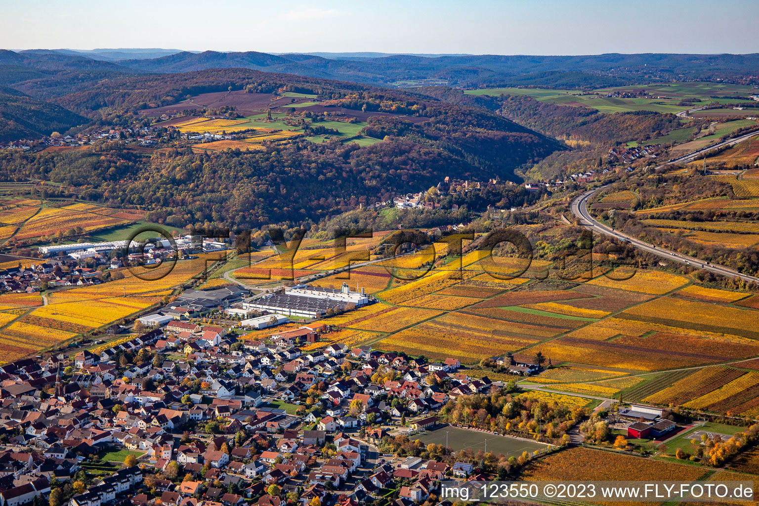 Herbstliche verfärbte Vegetationsansicht Ortskern am Rande von Weinbergen und Winzer- Gütern im Weinbaugebiet in Sausenheim in Grünstadt im Bundesland Rheinland-Pfalz, Deutschland