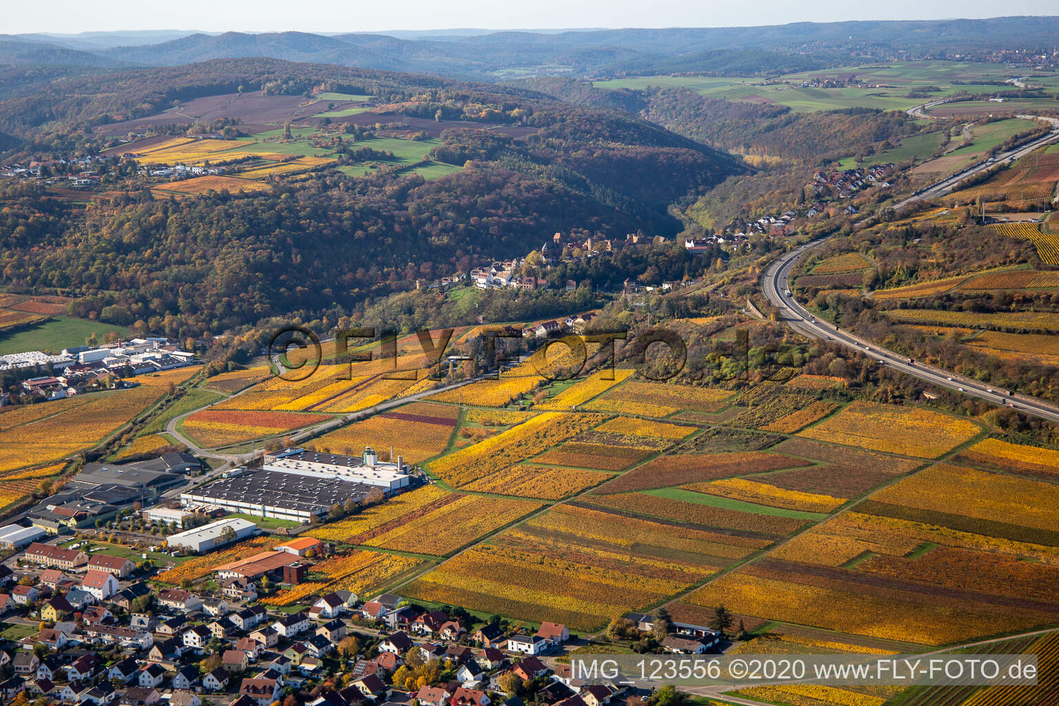 Luftbild von Herbstliche verfärbte Weinberge zwischen Sausenheim und Neuleiningen im Bundesland Rheinland-Pfalz, Deutschland