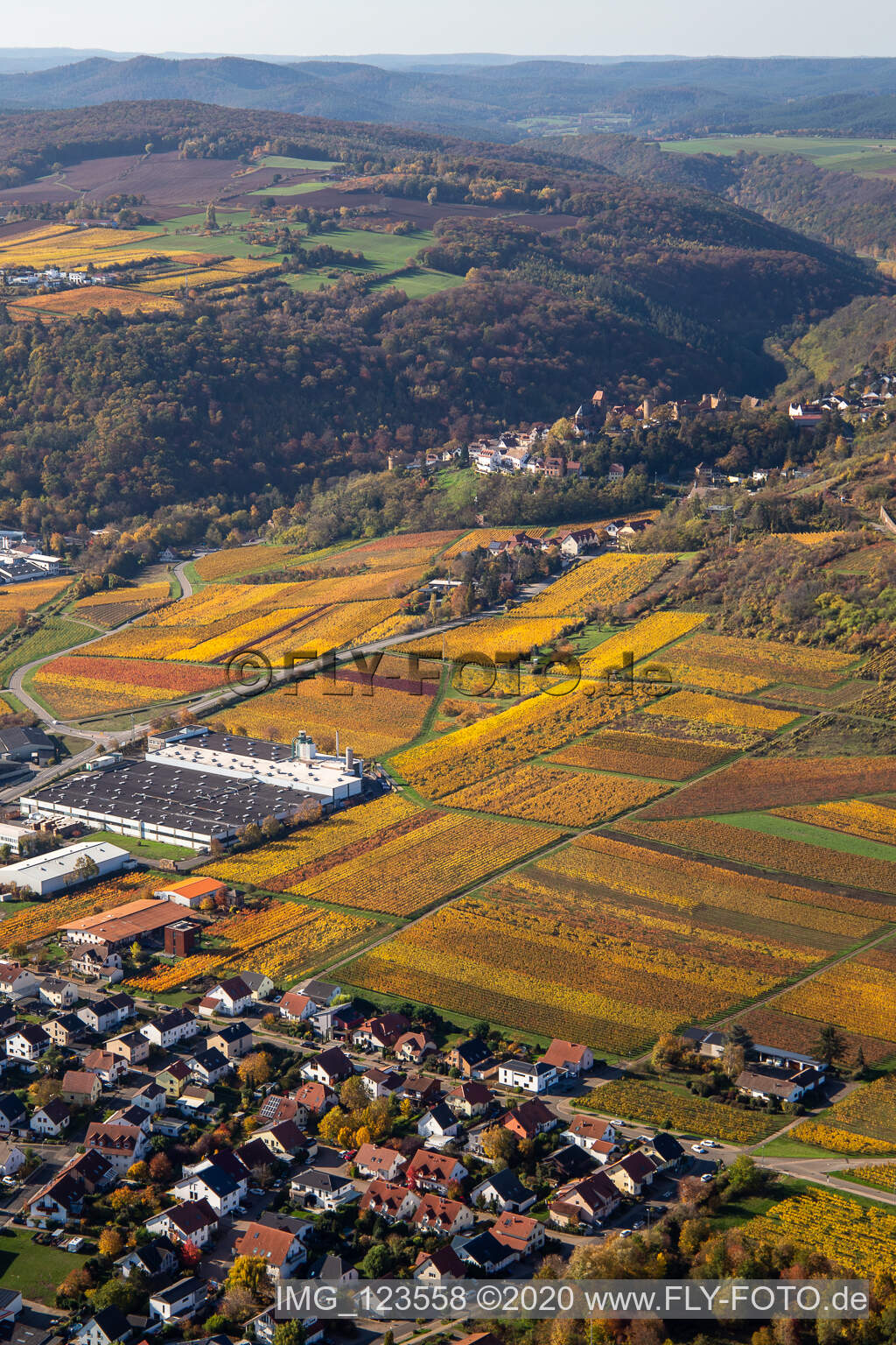 Luftbild von Neuleiningen im Bundesland Rheinland-Pfalz, Deutschland