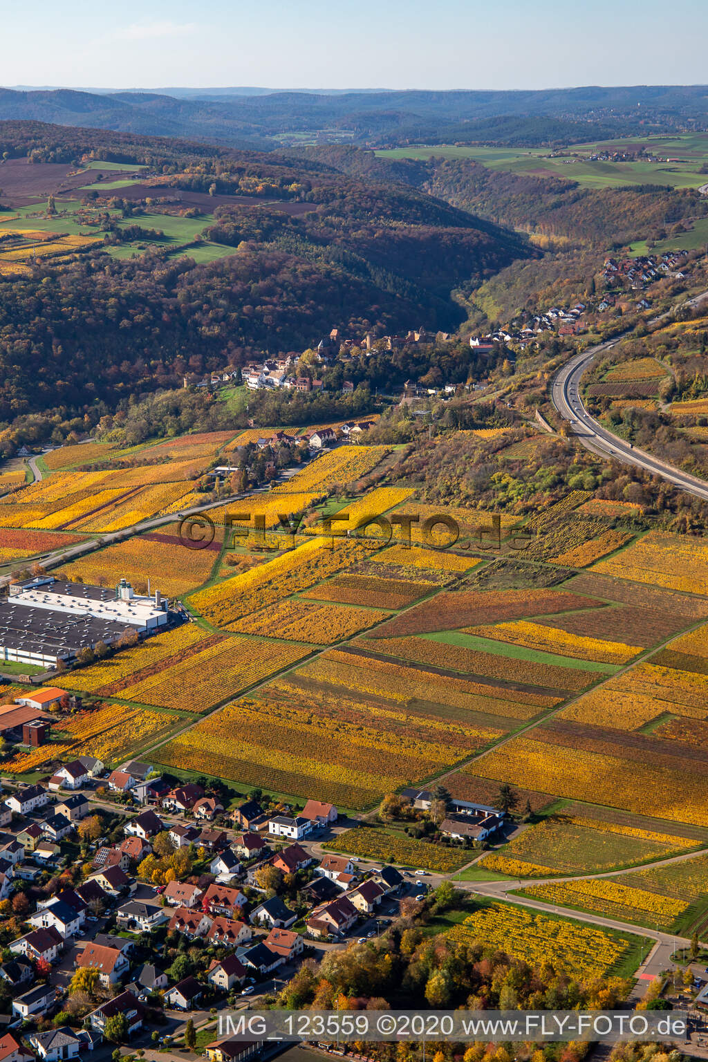 Luftaufnahme von Herbstliche verfärbte Weinberge zwischen Sausenheim und Neuleiningen im Bundesland Rheinland-Pfalz, Deutschland