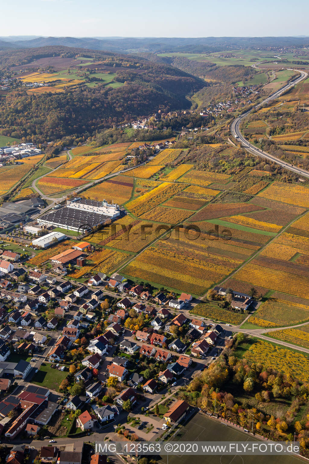 Schrägluftbild von Herbstliche verfärbte Weinberge zwischen Sausenheim und Neuleiningen im Bundesland Rheinland-Pfalz, Deutschland