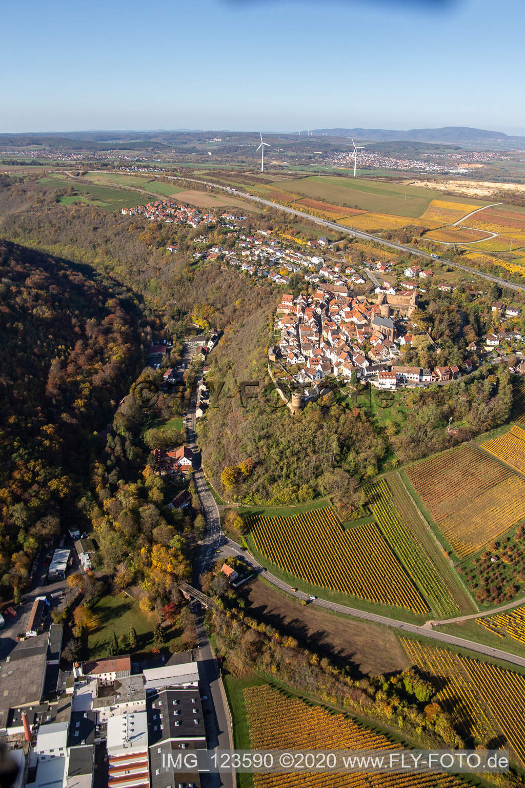 Luftbild von Burg Neulingen in Neuleiningen im Bundesland Rheinland-Pfalz, Deutschland