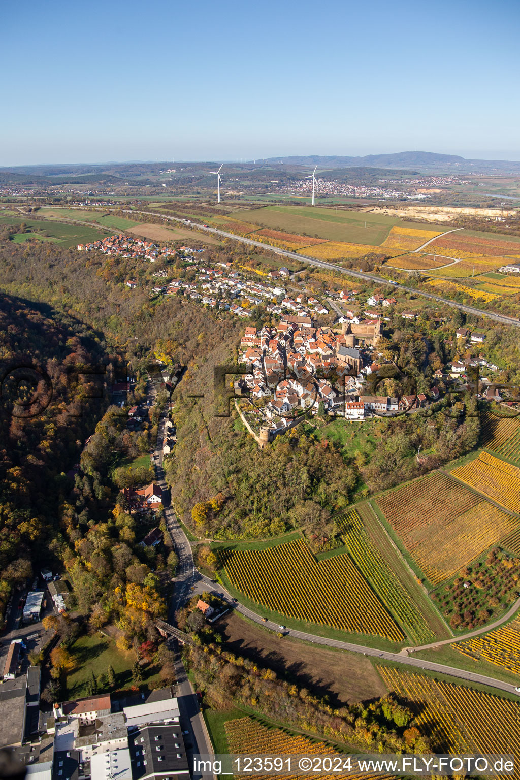 Luftaufnahme von Burg Neulingen in Neuleiningen im Bundesland Rheinland-Pfalz, Deutschland