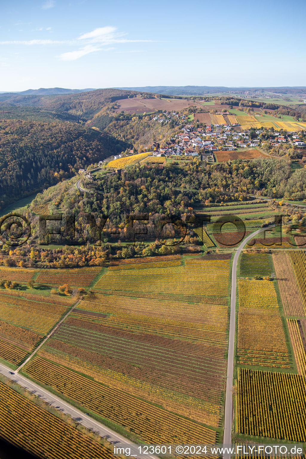 Herbstliche verfärbte Vegetationsansicht Felder einer Weinbergs- Landschaft der Winzer- Gebiete in Battenberg (Pfalz) im Bundesland Rheinland-Pfalz, Deutschland