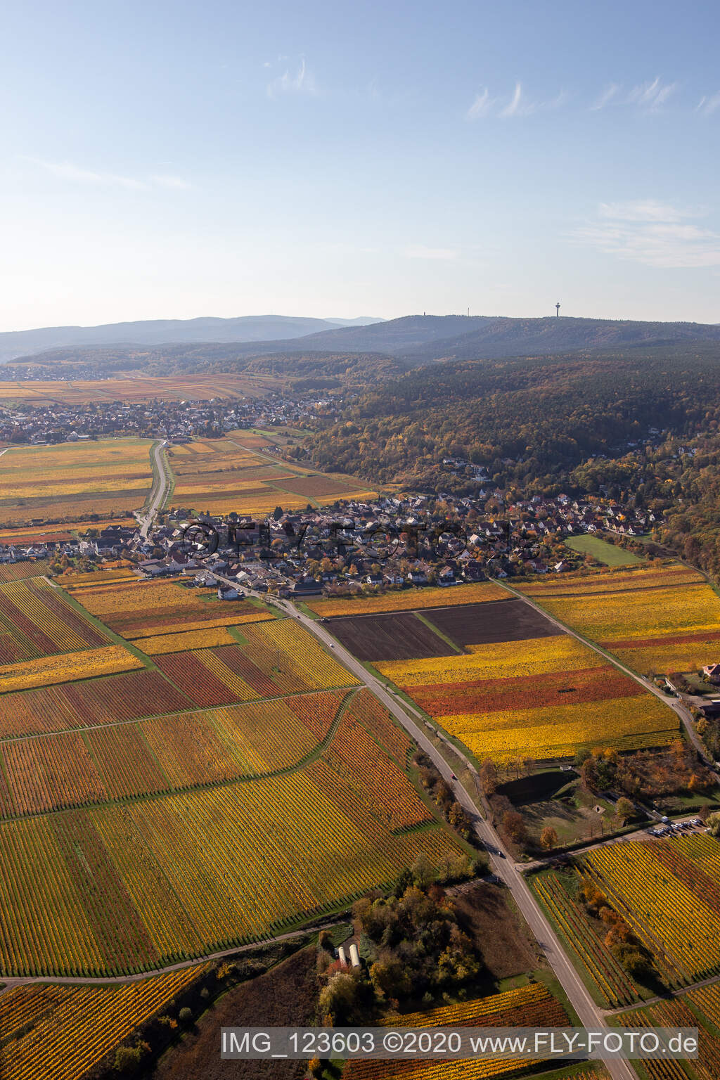 Luftaufnahme von Bobenheim am Berg im Bundesland Rheinland-Pfalz, Deutschland