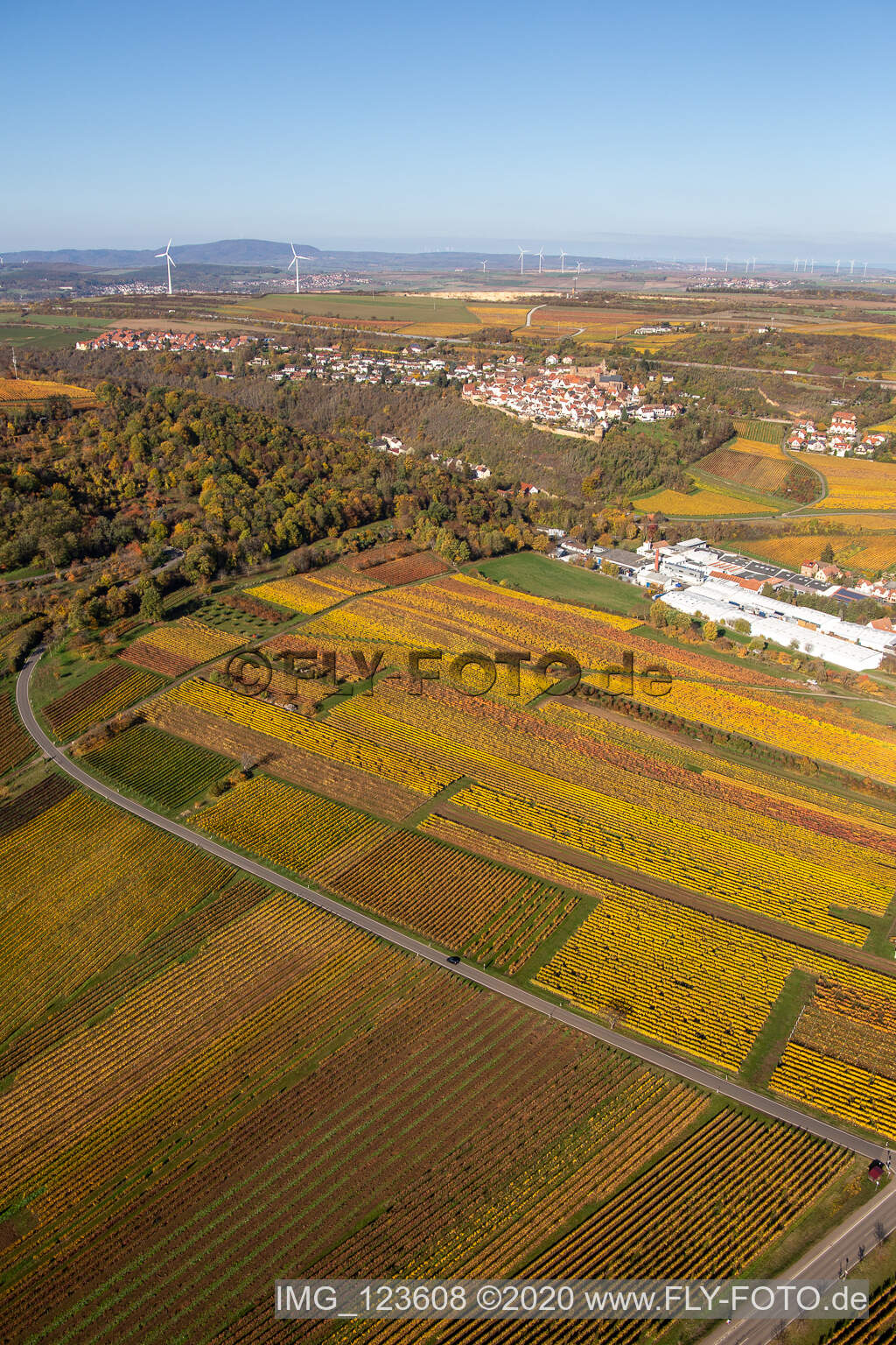 Luftbild von Kleinkarlbach im Bundesland Rheinland-Pfalz, Deutschland