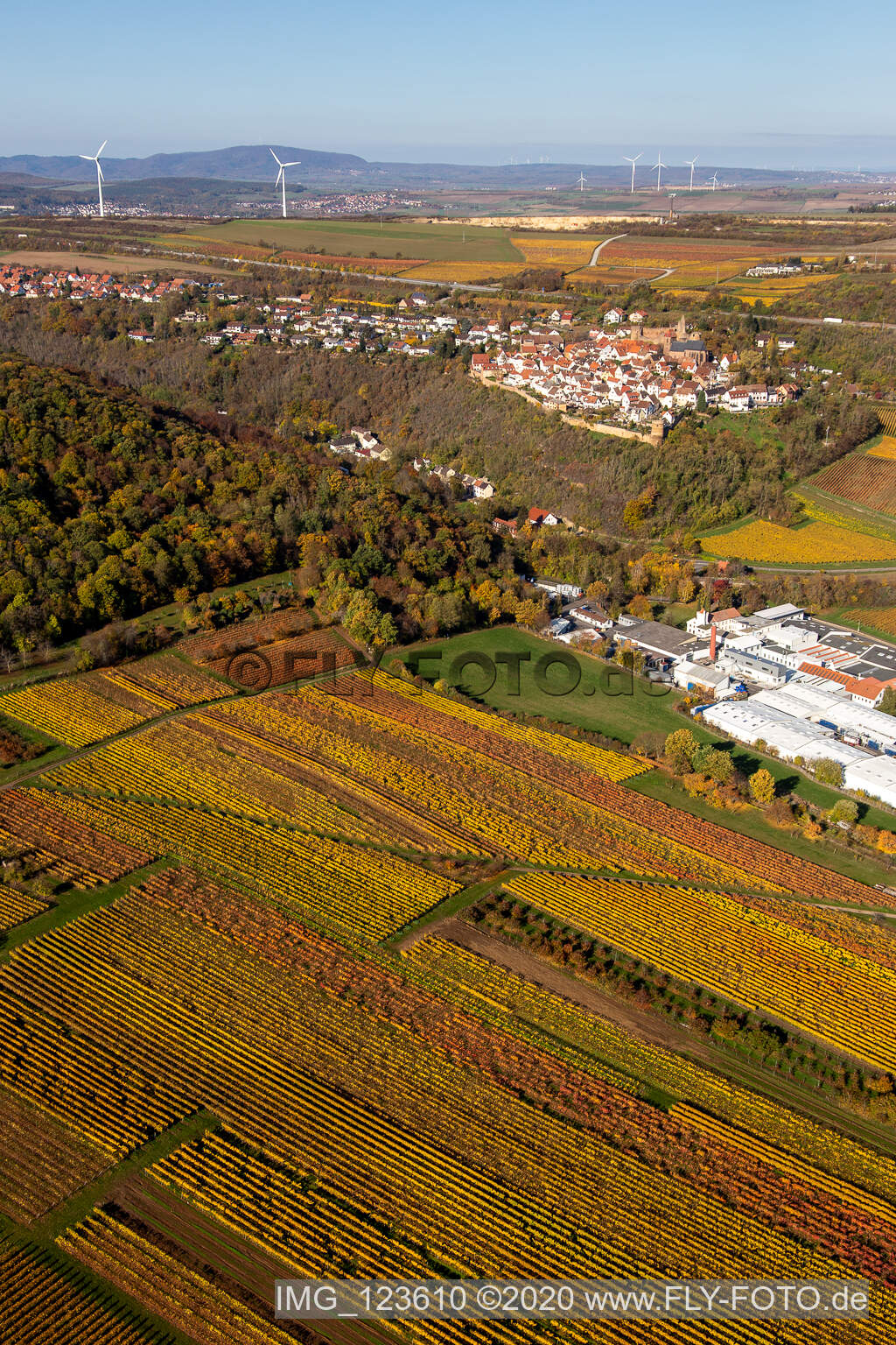Herbstliche verfärbte von Weinberge oberhalb der Produktionshallen der Gechem GmbH & Co. KG in Neuleiningen im Bundesland Rheinland-Pfalz, Deutschland