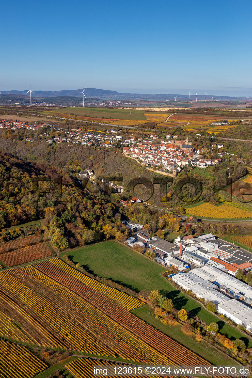 Luftaufnahme von Herbstliche verfärbte von Weinberge oberhalb der Produktionshallen der Gechem GmbH & Co. KG in Neuleiningen im Bundesland Rheinland-Pfalz, Deutschland