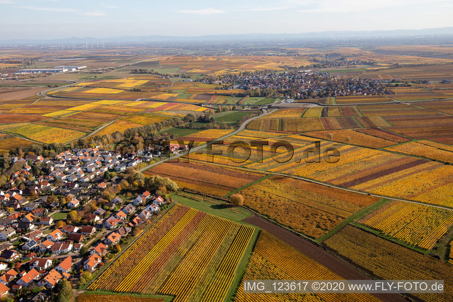 Herbstliche verfärbte Weinberge zwischen Kleinkarlbach und Kirchheim an der Weinstraße im Bundesland Rheinland-Pfalz, Deutschland