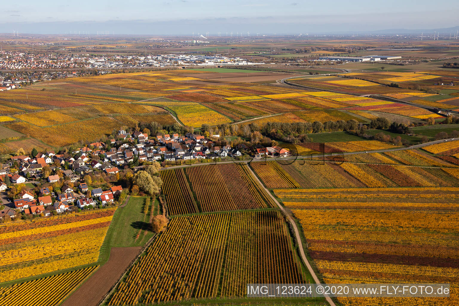 Kleinkarlbach im Bundesland Rheinland-Pfalz, Deutschland aus der Luft