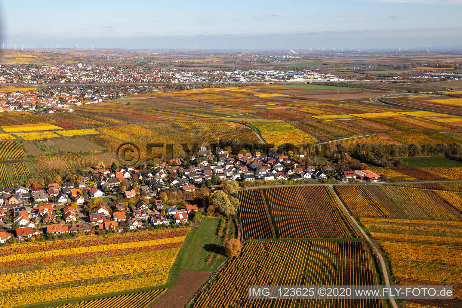 Kleinkarlbach im Bundesland Rheinland-Pfalz, Deutschland von oben gesehen