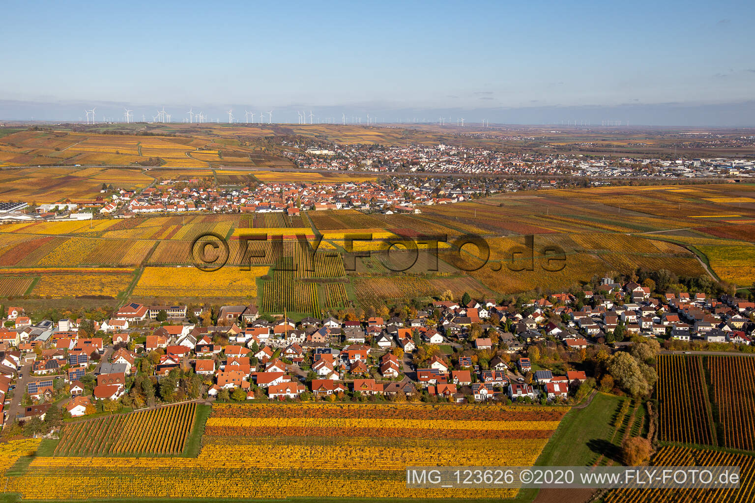 Herbstliche verfärbte Weinberge zwischen Kleinkarlbach und Sausenheim im Bundesland Rheinland-Pfalz, Deutschland