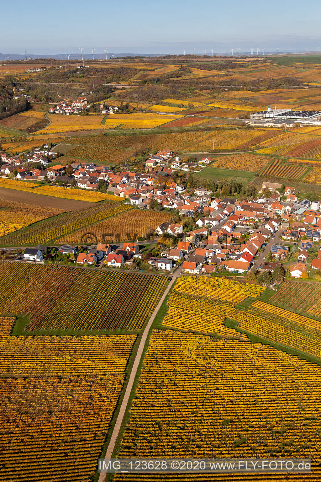 Kleinkarlbach im Bundesland Rheinland-Pfalz, Deutschland aus der Luft betrachtet