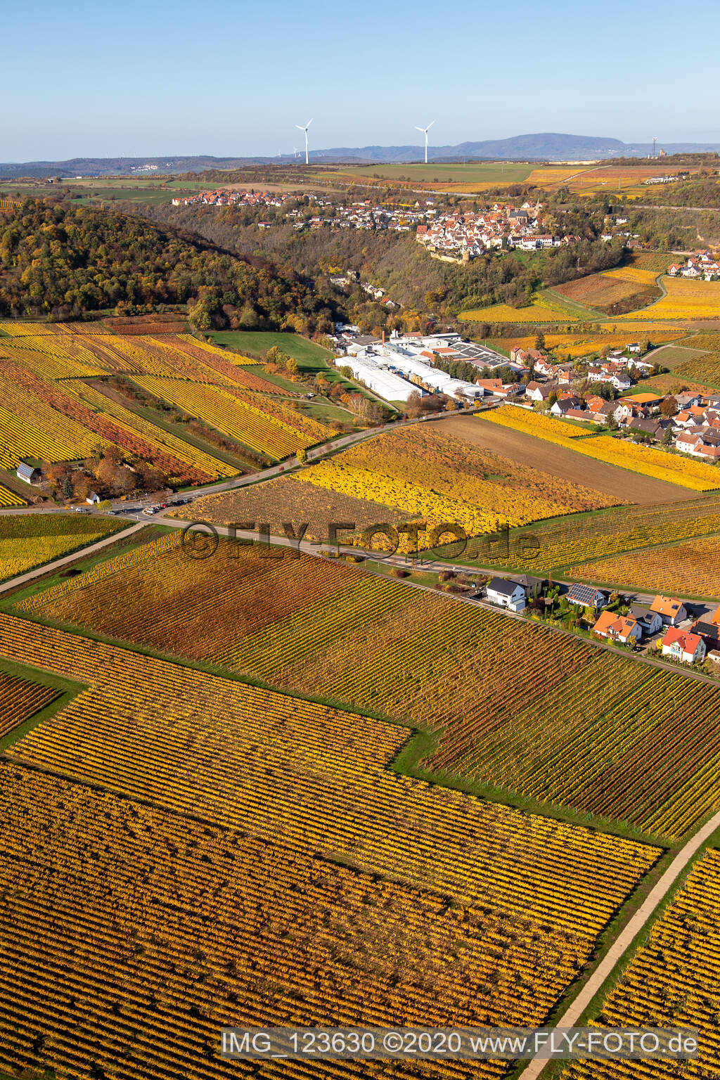 Drohnenbild von Kleinkarlbach im Bundesland Rheinland-Pfalz, Deutschland