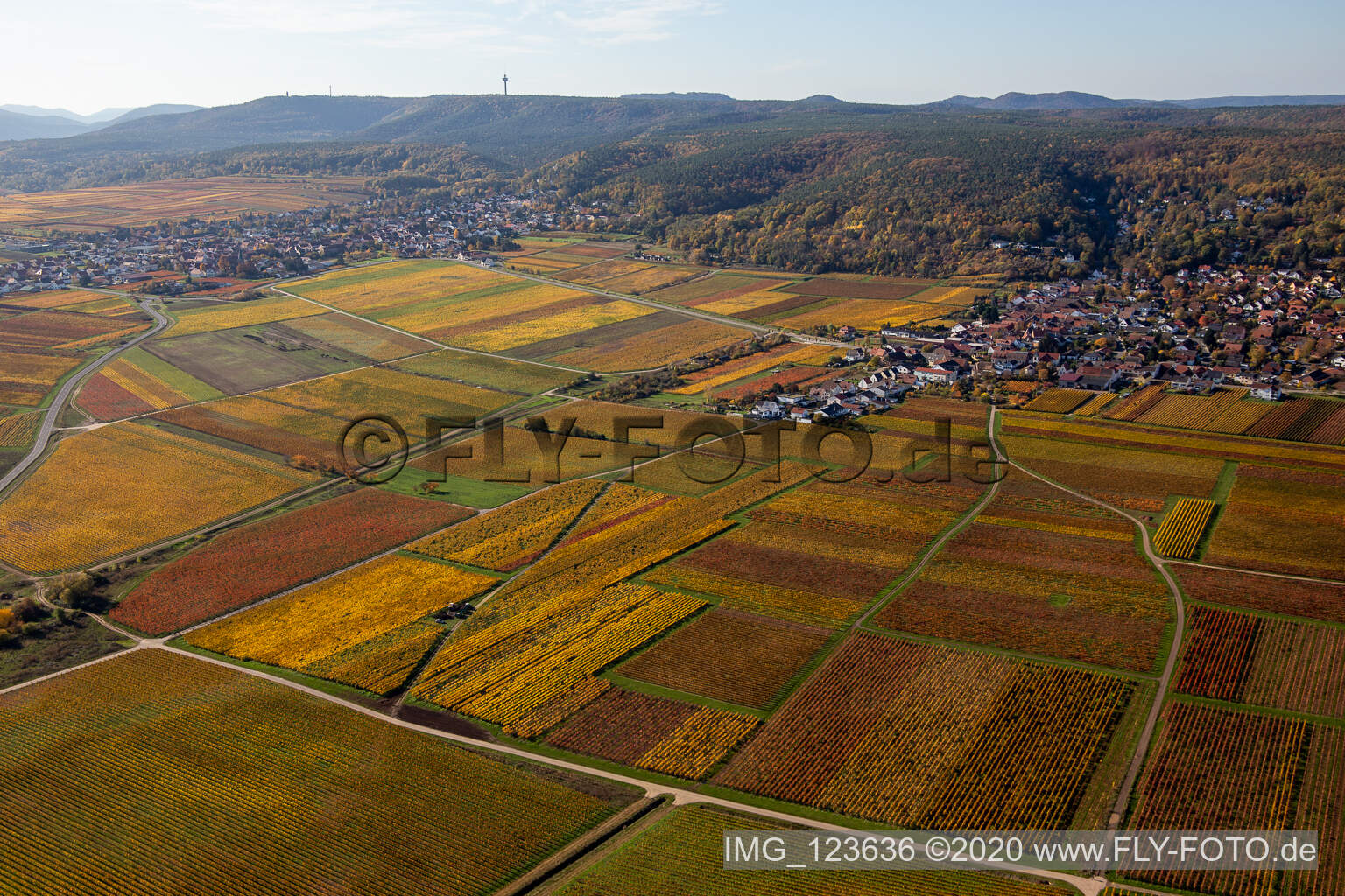 Herbstliche verfärbte Weinberge um die Orte in der Rheinebene am Rand der Haardt in Bobenheim am Berg im Bundesland Rheinland-Pfalz, Deutschland