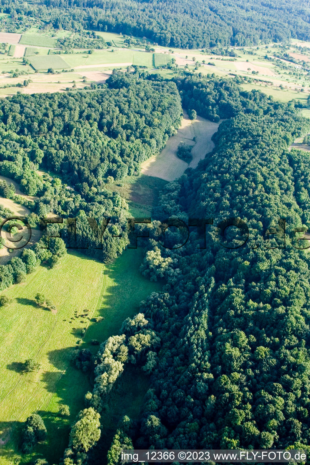 Naturschutzgebiet Kettelbachtal in Gräfenhausen im Bundesland Baden-Württemberg, Deutschland von einer Drohne aus