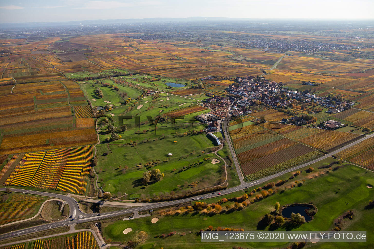 Gelände des Golfplatz Golfgarten Deutsche Weinstraße - Dackenheim - GOLF absolute in Dackenheim im Bundesland Rheinland-Pfalz, Deutschland vom Flugzeug aus