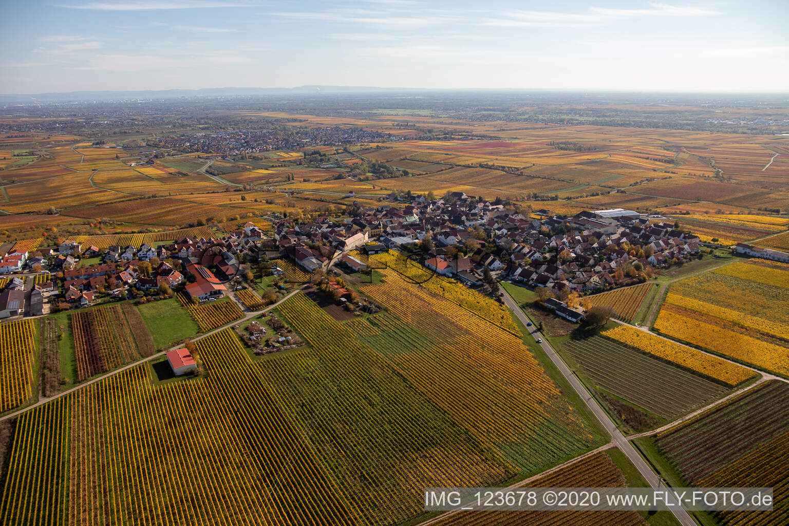 Luftbild von Herbstliche verfärbte Vegetationsansicht der Weinbergen um das Winzerdorf in Herxheim am Berg im Bundesland Rheinland-Pfalz, Deutschland