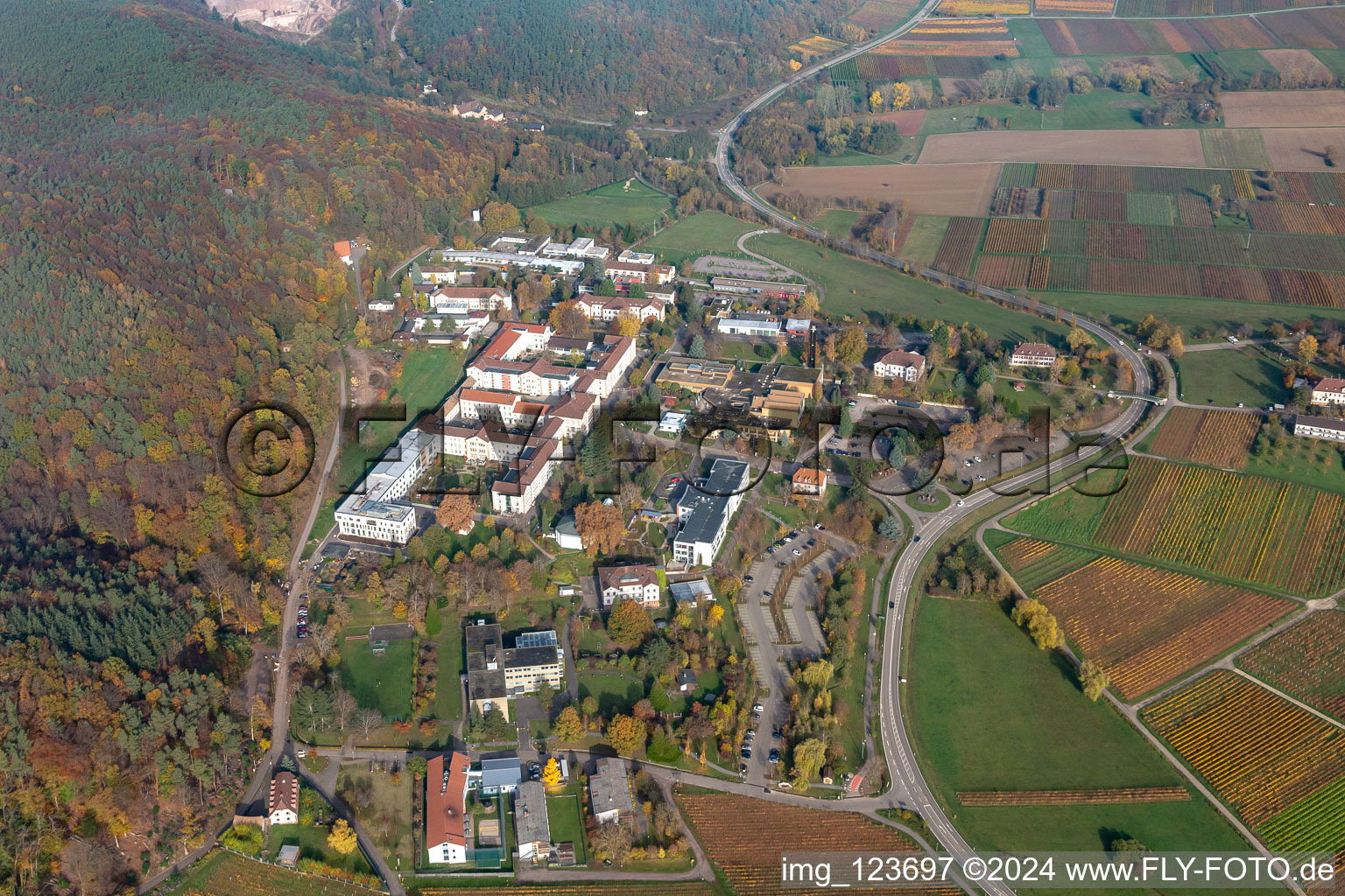 Pfalzklinik Landeck in Klingenmünster im Bundesland Rheinland-Pfalz, Deutschland aus der Luft