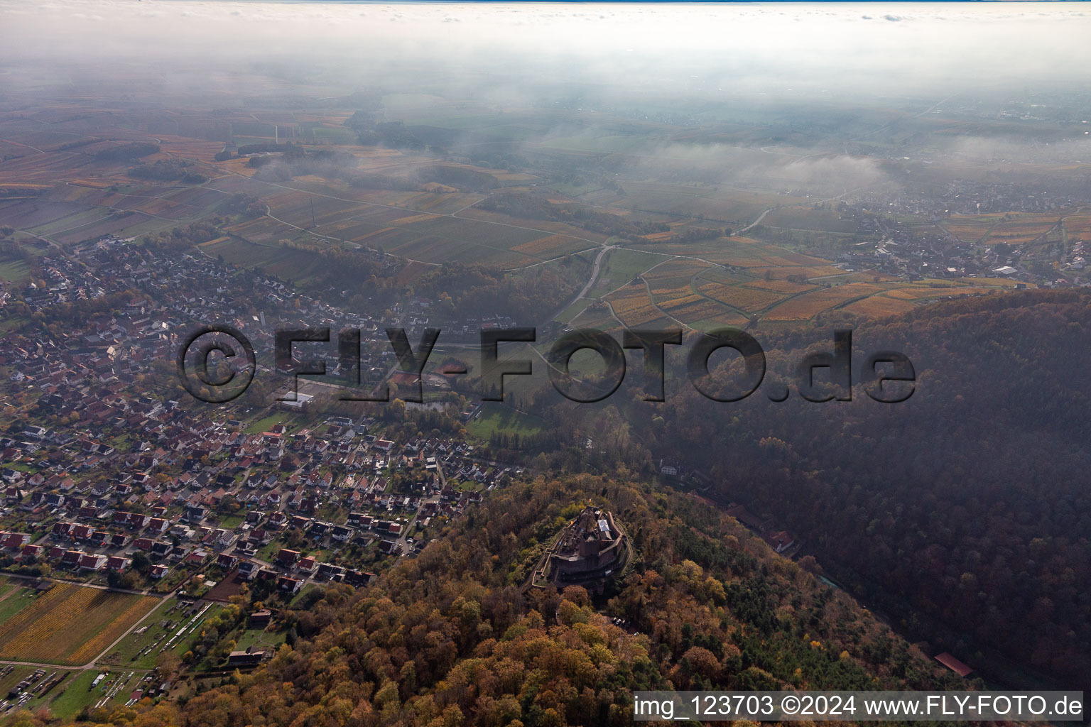 Burg Landeck in Klingenmünster im Bundesland Rheinland-Pfalz, Deutschland von oben