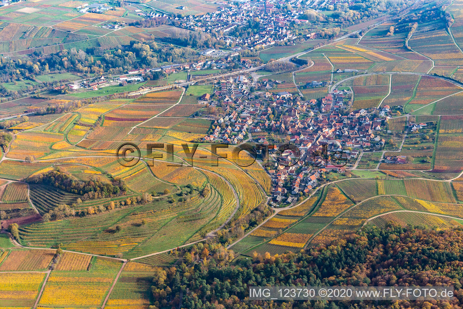 Herbstlich verfärbte Weinberge der Lage Kastanienbusch umsäumen das Siedlungsgebiet des Dorfes in Birkweiler im Bundesland Rheinland-Pfalz, Deutschland