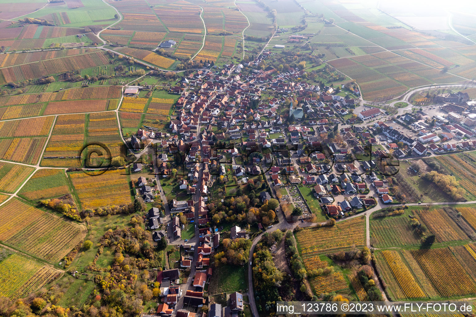 Ortsteil Schweigen in Schweigen-Rechtenbach im Bundesland Rheinland-Pfalz, Deutschland aus der Vogelperspektive
