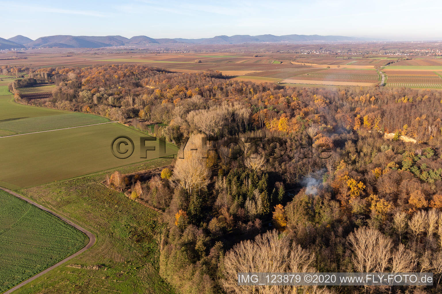 Luftaufnahme von Billigheimer Bruch, Erlenbachtal zwischen Barbelroth, Hergersweiler und Winden im Bundesland Rheinland-Pfalz, Deutschland