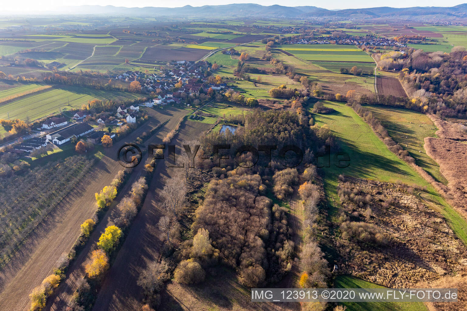 Luftaufnahme von Billigheimer Bruch, Erlenbachtal zwischen Barbelroth, Hergersweiler und Winden im Bundesland Rheinland-Pfalz, Deutschland